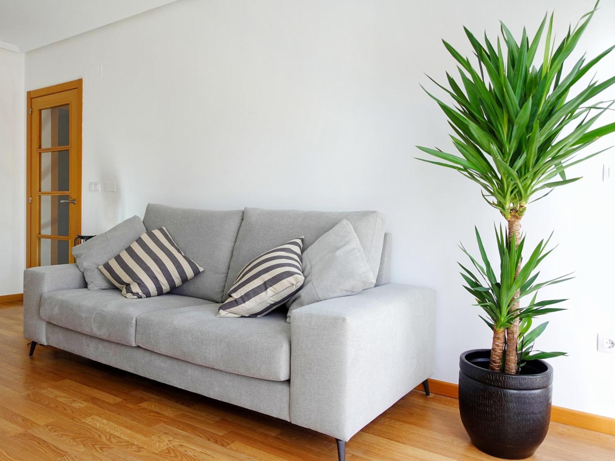 Atalaia Apartment Foz Ngoại thất bức ảnh